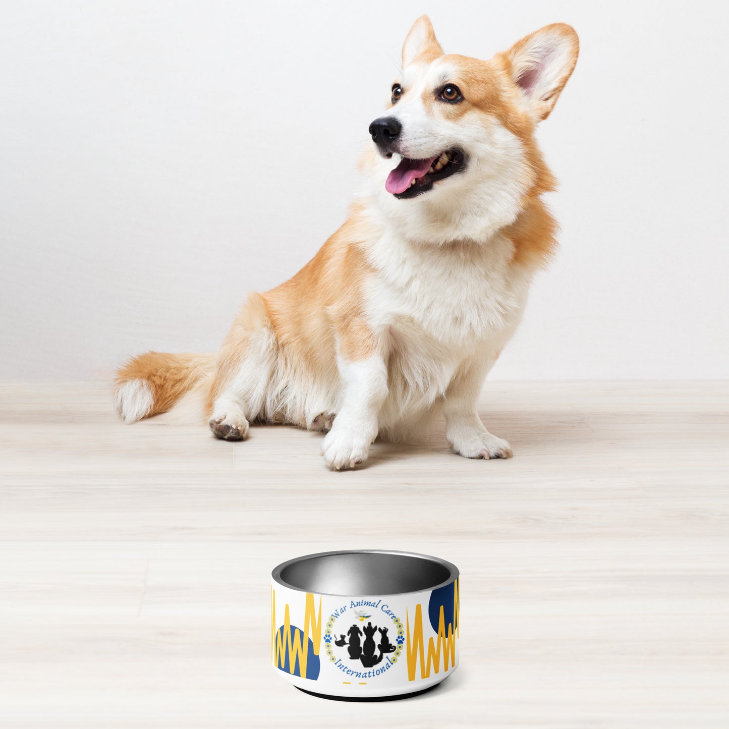 Pet bowl
