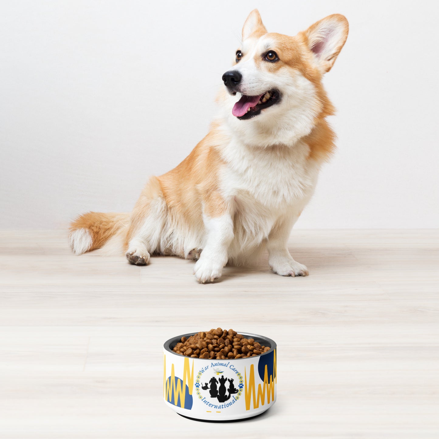 Pet bowl