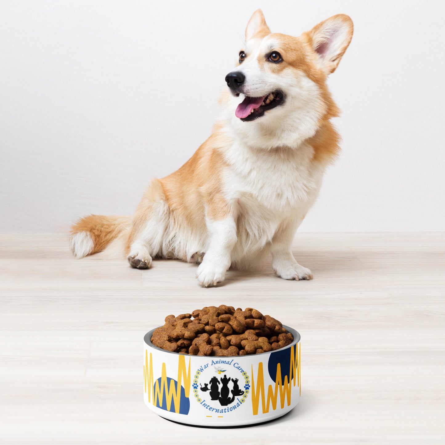 Pet bowl